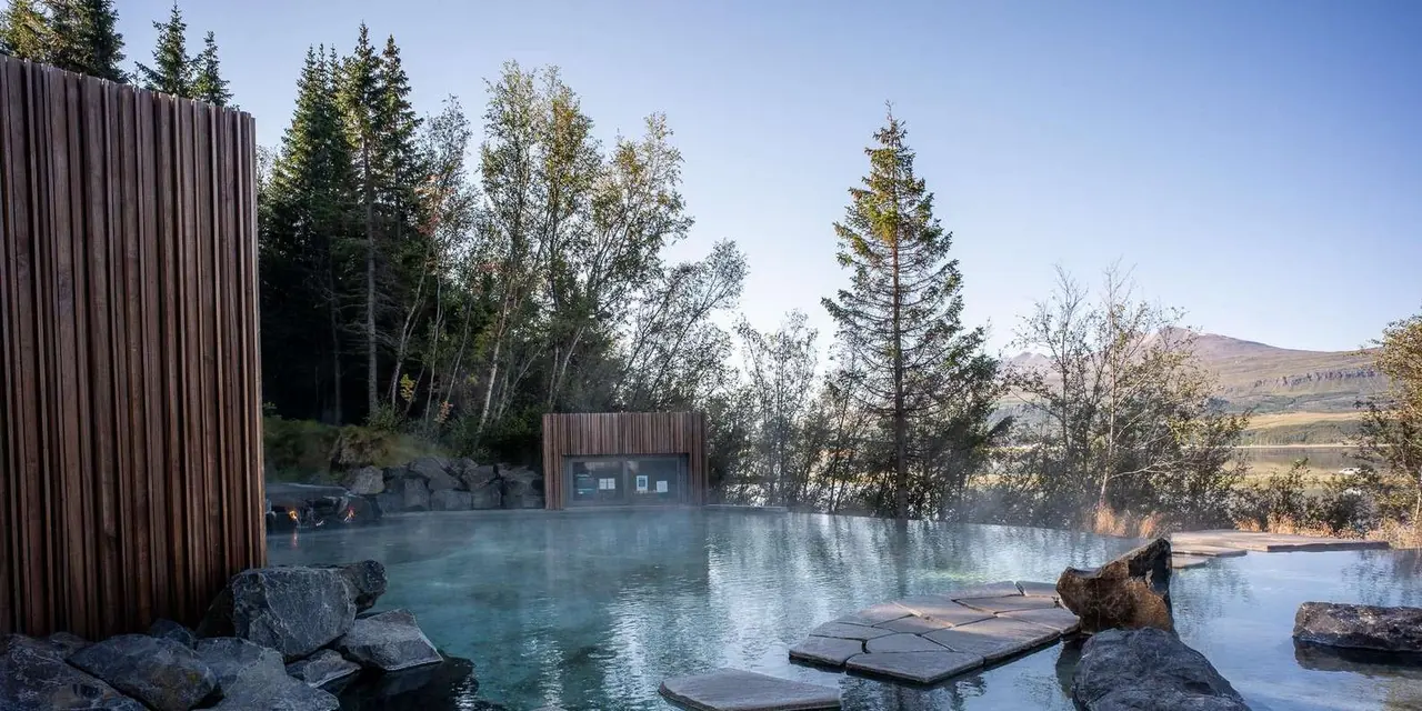 Steaming geothermal pool ringed by birch and pine trees with a wooden screen and stepping stones across the water