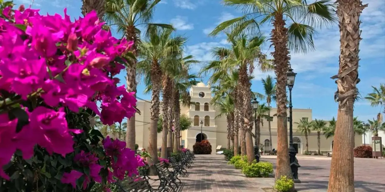 Pink bougainvillea and palm trees lining a paved plaza, with a white colonial building behind