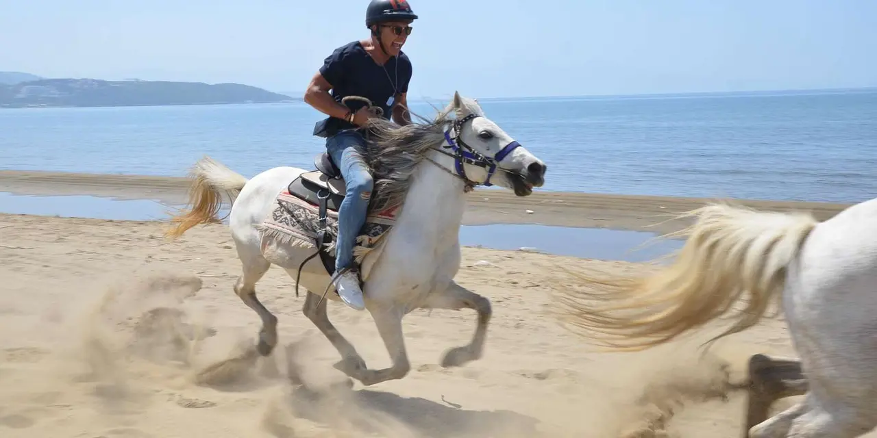 A rider in a helmet galloping a white horse along a sandy beach beside the sea