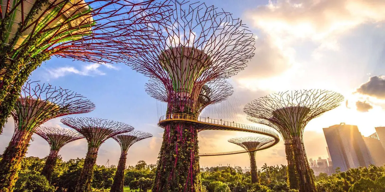 The tree-like Supertree structures and their elevated walkway at Gardens by the Bay against a sunset sky