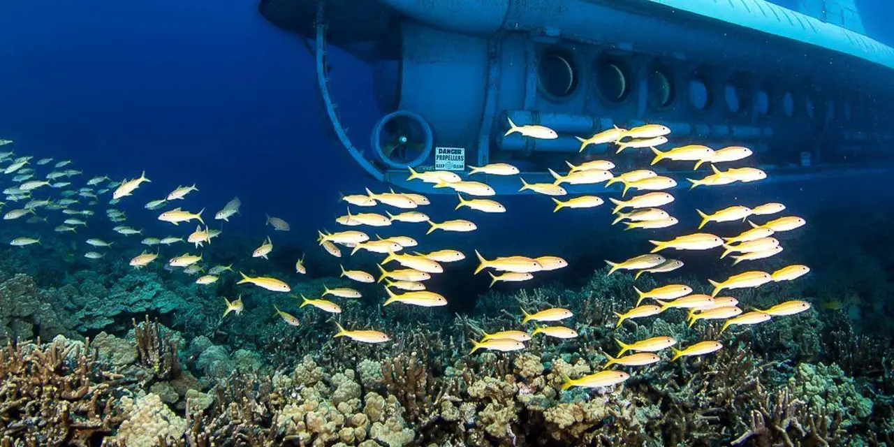 A yellow submarine gliding over coral with a school of yellow fish in front of it