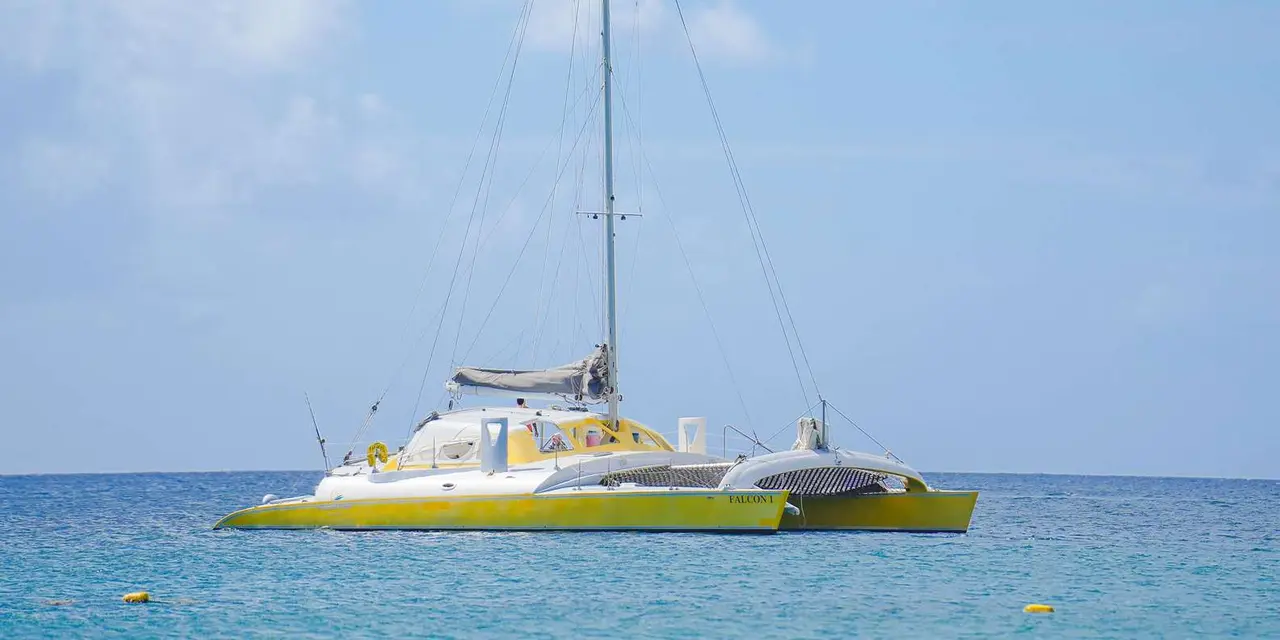 A yellow-trimmed catamaran sitting on calm blue water