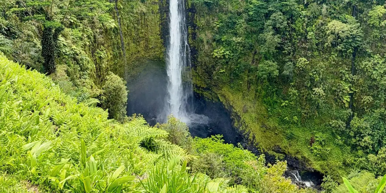 A tall waterfall dropping into a deep jungle gorge, with ferns in the foreground