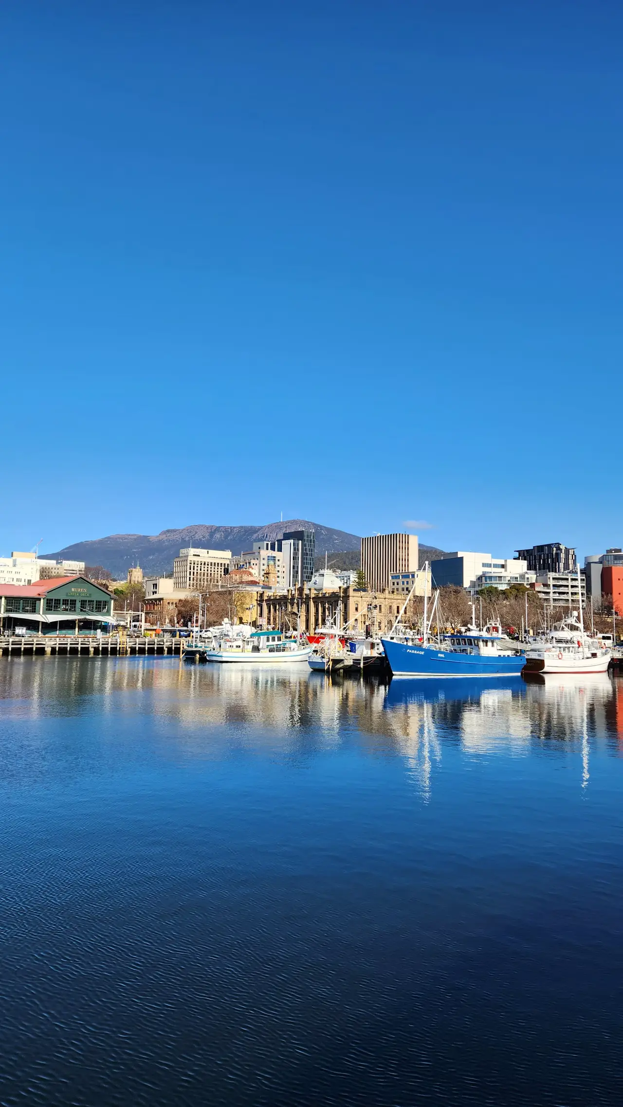 Fishing boats moored on still blue water at Hobart's waterfront, with Mures and the city's buildings behind and kunanyi / Mount Wellington under a clear sky