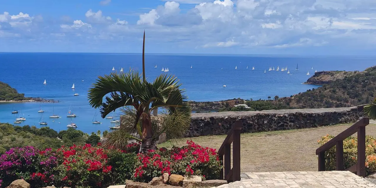 View from a hillside terrace over English Harbour in Antigua, with red and pink flowers in the foreground and sailboats on the blue water beyond