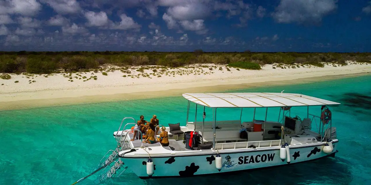 A white catamaran named Seacow anchored off a pale sand shore with turquoise water
