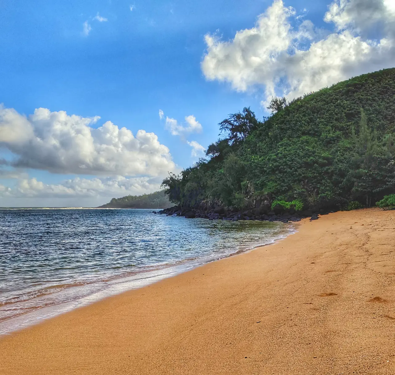 Golden sand curving along a calm bay on Kauai's north shore, with a green wooded headland on the right and white clouds in a blue sky