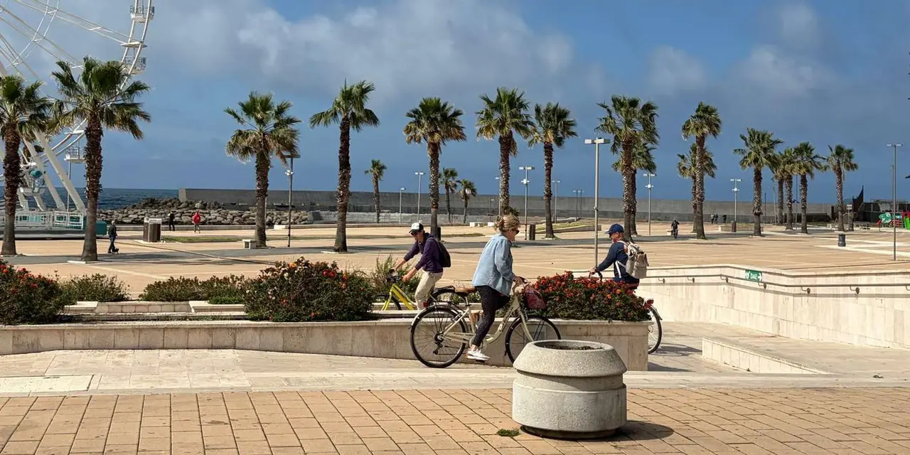 Cyclists riding along a wide palm-lined seafront promenade with a Ferris wheel at one end