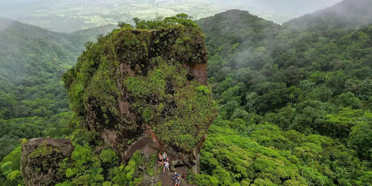 A moss-covered rock outcrop above green forest on the volcano's slopes