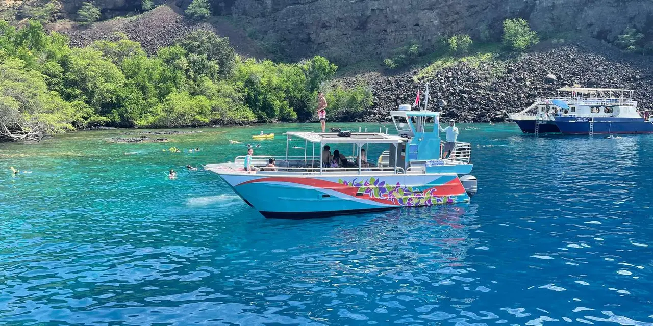 A blue-and-white tour boat anchored in clear turquoise water below green cliffs at Kealakekua Bay