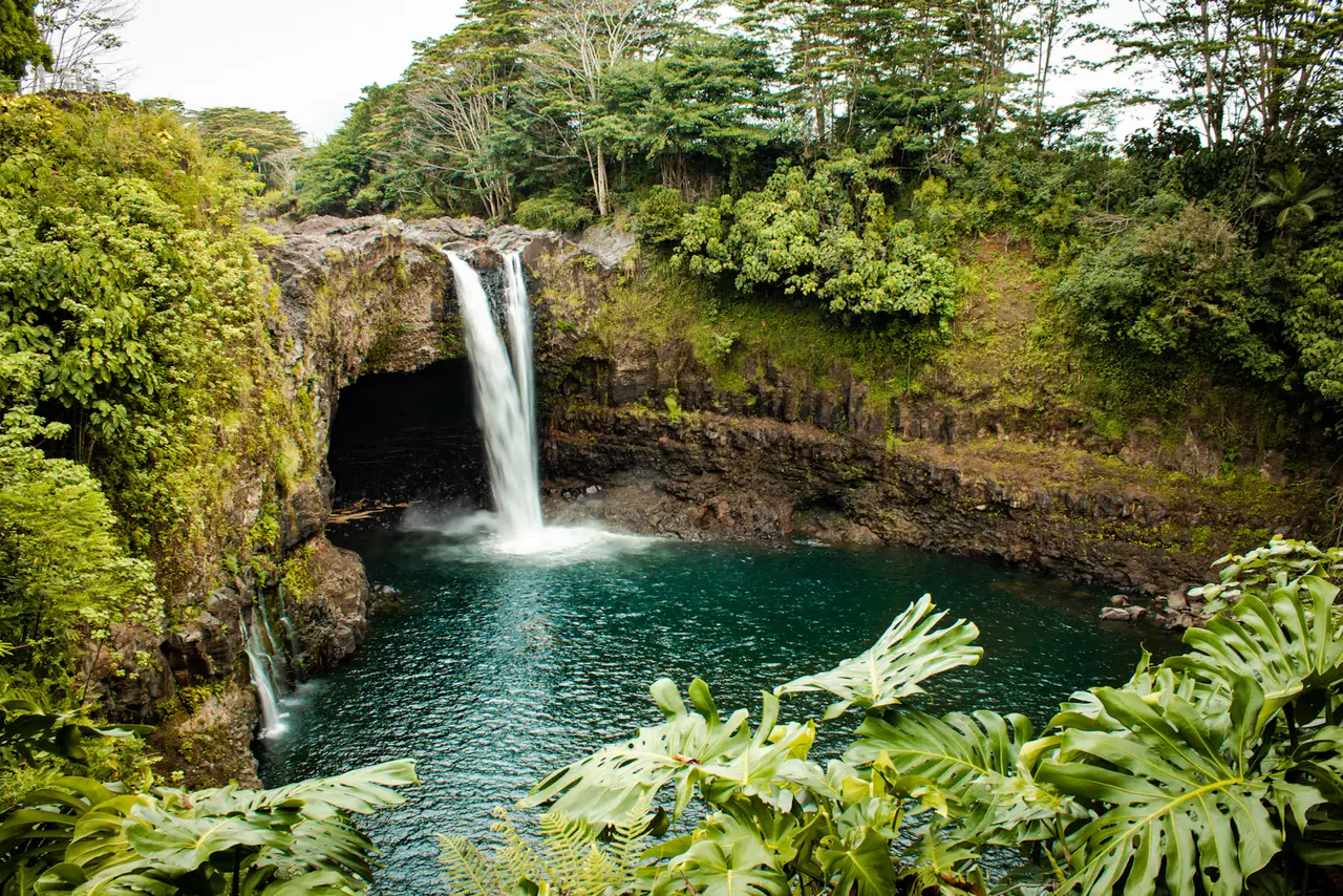 Rainbow Falls in Hilo pouring over a lava-rock ledge into a round green pool, framed by rainforest and broad tropical leaves