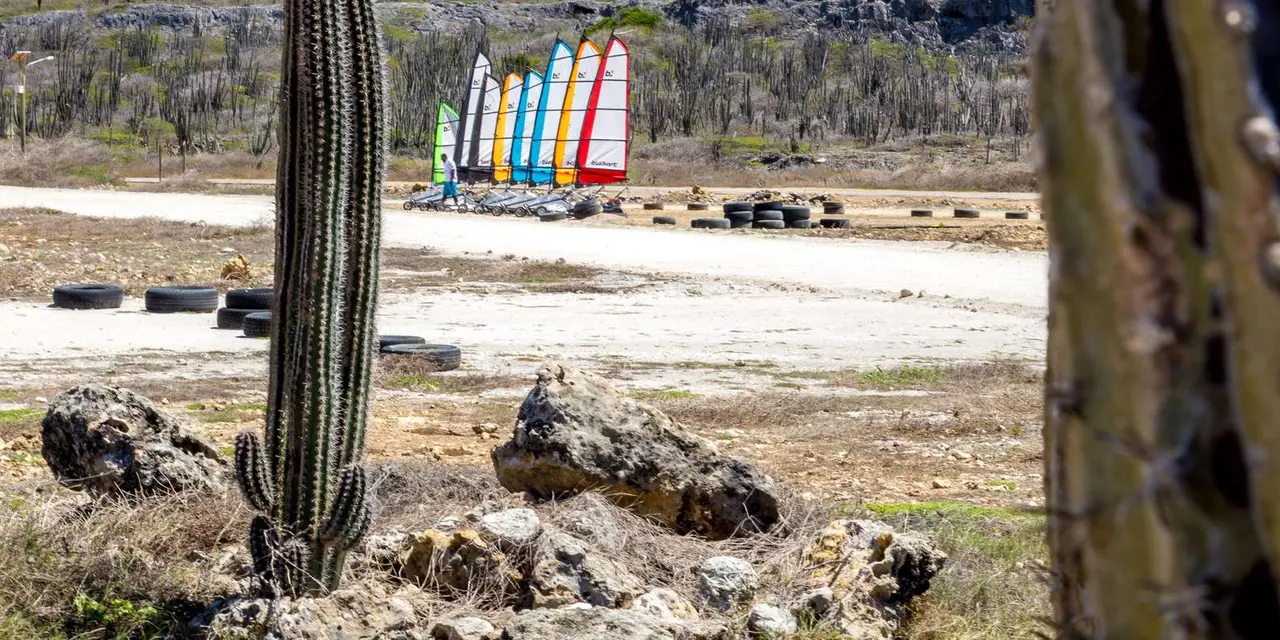 Colourful go-kart sails lined up at the end of a dirt track beside a tall cactus