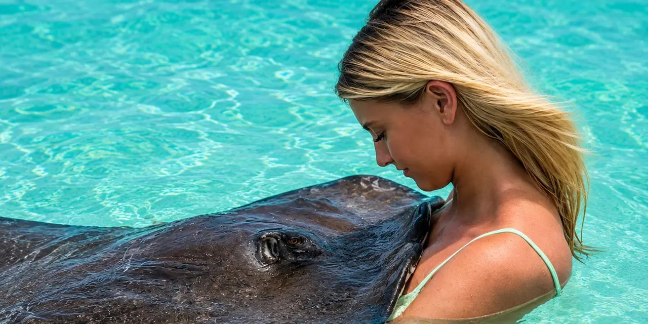 A woman beside a stingray gliding through clear shallow turquoise water