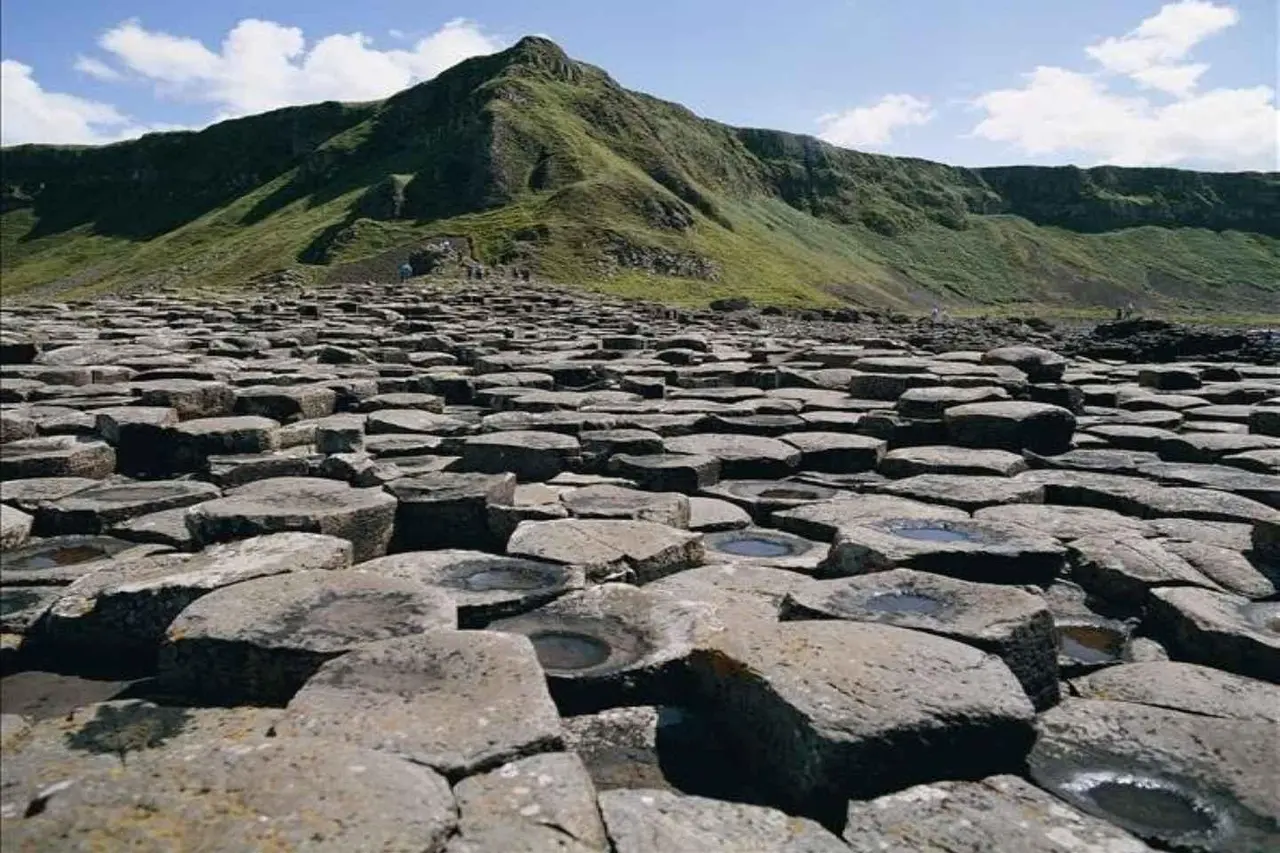 Grey hexagonal basalt columns of the Giant's Causeway in the foreground with a green hill rising behind them under blue sky