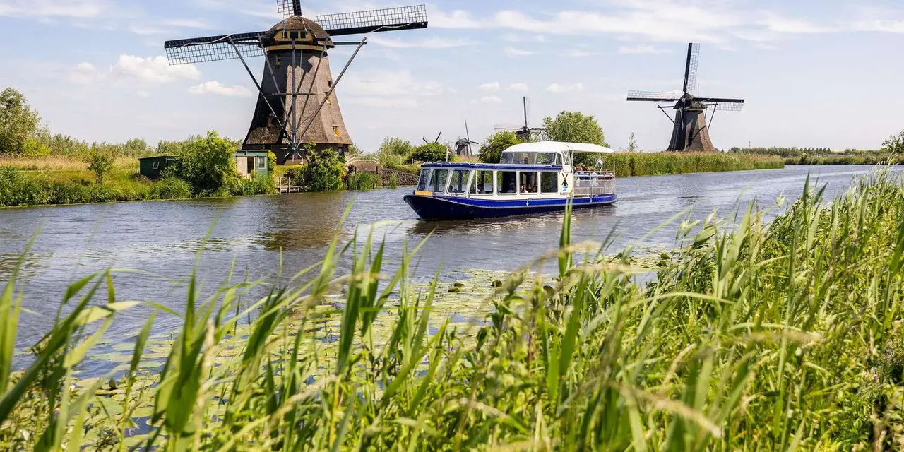 A blue-and-white tour boat passing two brown windmills with thatched roofs on a canal fringed with tall reeds at Kinderdijk