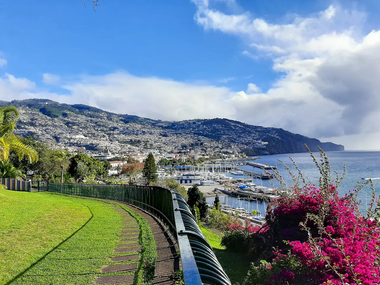 View from a hillside garden over the Funchal harbour and marina, with the city climbing the green mountainside, magenta bougainvillea in the foreground and big white clouds over blue sea