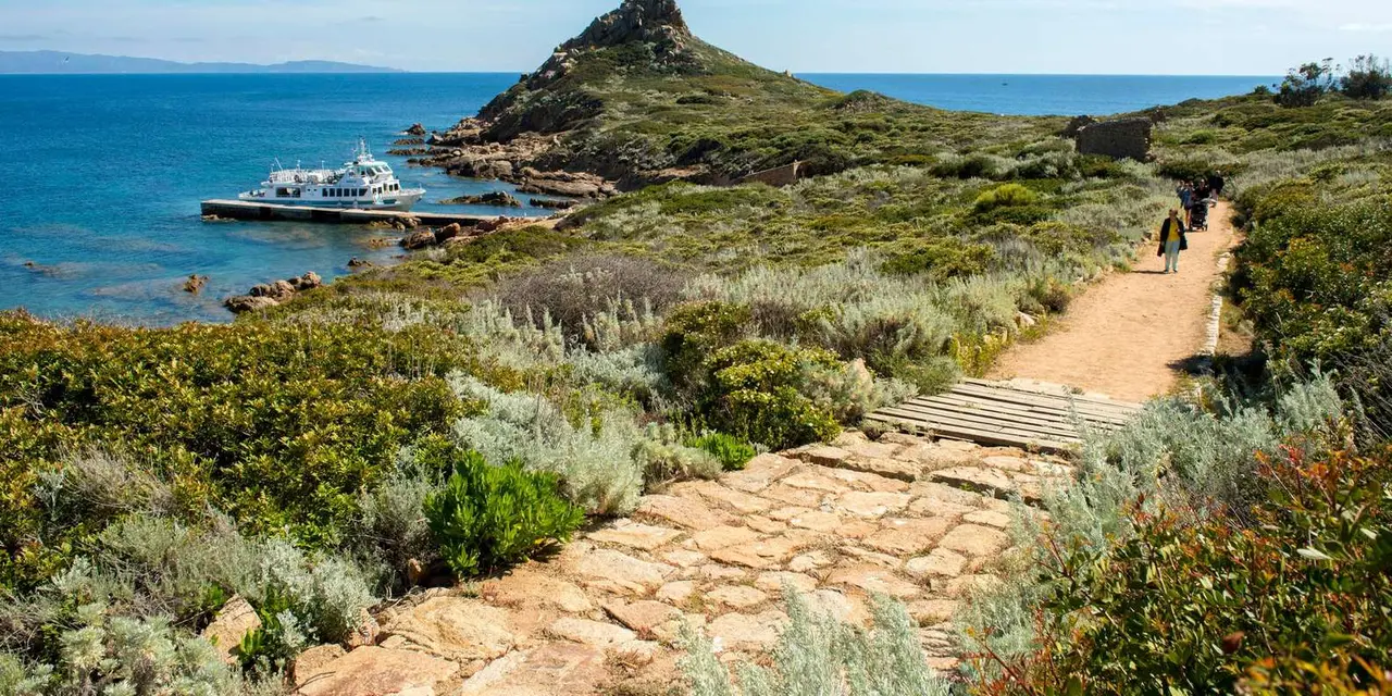 A paved footpath through green scrub leading to a Genoese stone tower on a headland above the sea