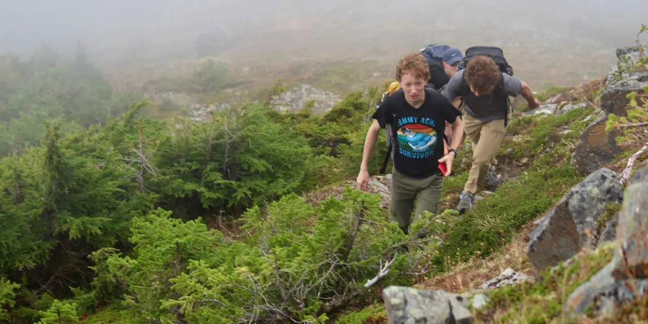 Hikers in backpacks climbing a misty, spruce-covered slope with grey boulders in the foreground