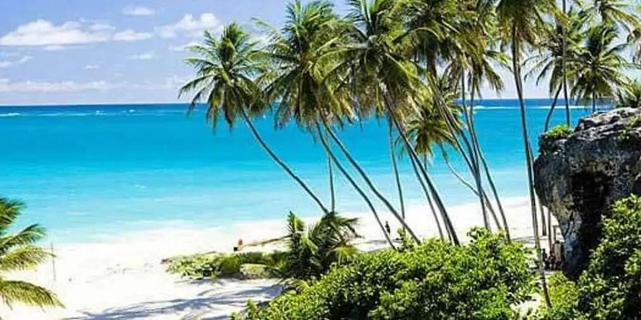Palm trees leaning over a white-sand beach and blue sea