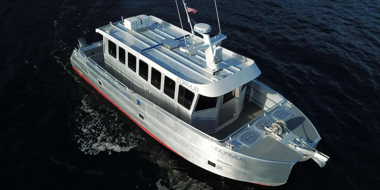An aerial view of a silver and white catamaran named Corvus with Juneau Whale Tours lettering, cutting through dark water